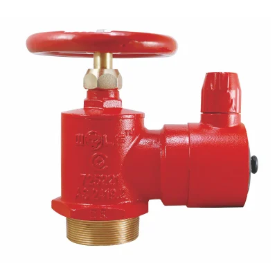 65mm BIC x 65mm BSP Male Inlet, Suits WA & NT