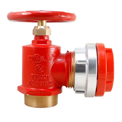 65mm NSW FBT threaded Storz x 65mm BSP male inlet, Suits NSW (existing systems), SA, ACT and TAS