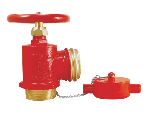 65mm QRT Outlet x 65mm BSP Male inlet, Suits QLD