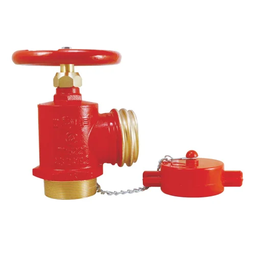 65mm QRT Outlet x 65mm BSP Male inlet, Suits QLD